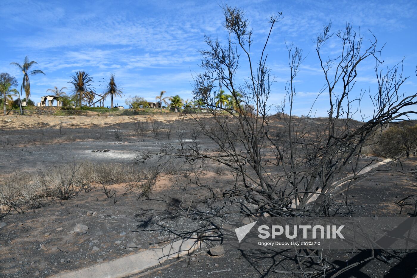Consequences of wildfires in California