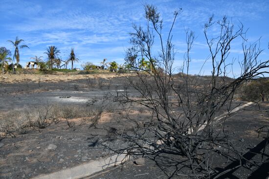 Consequences of wildfires in California