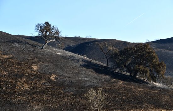 Consequences of wildfires in California