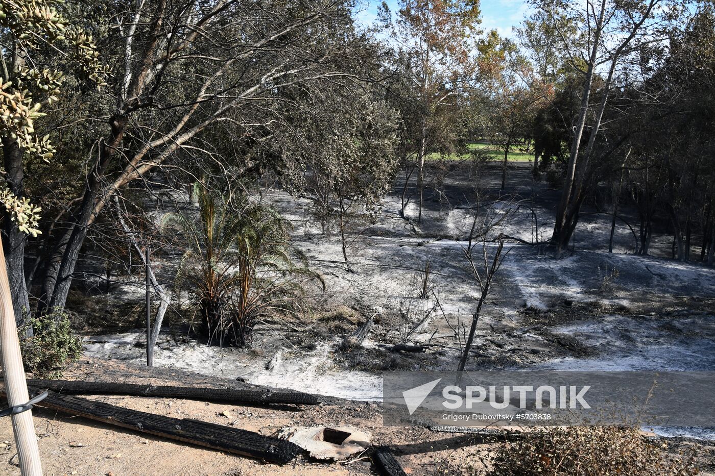 Consequences of wildfires in California