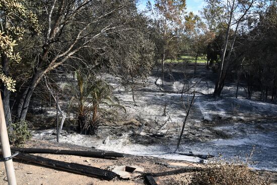 Consequences of wildfires in California