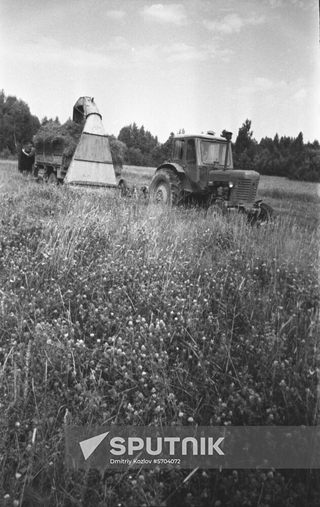 Kolkhoz Rodina in Yaroslavl Region