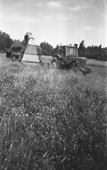 Kolkhoz Rodina in Yaroslavl Region
