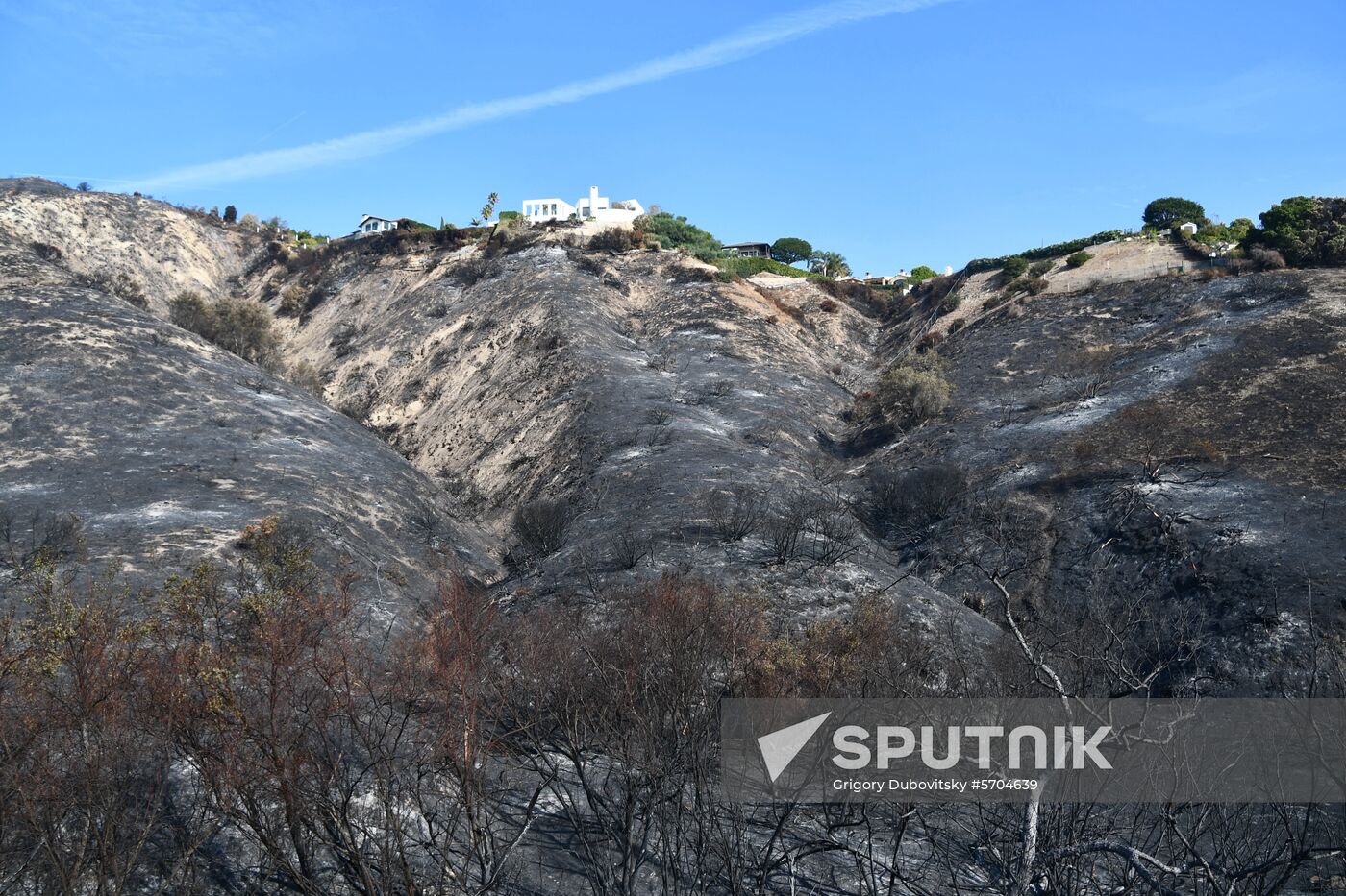 Consequences of wildfires in California