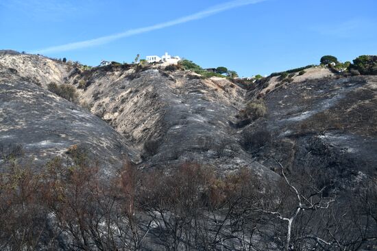 Consequences of wildfires in California