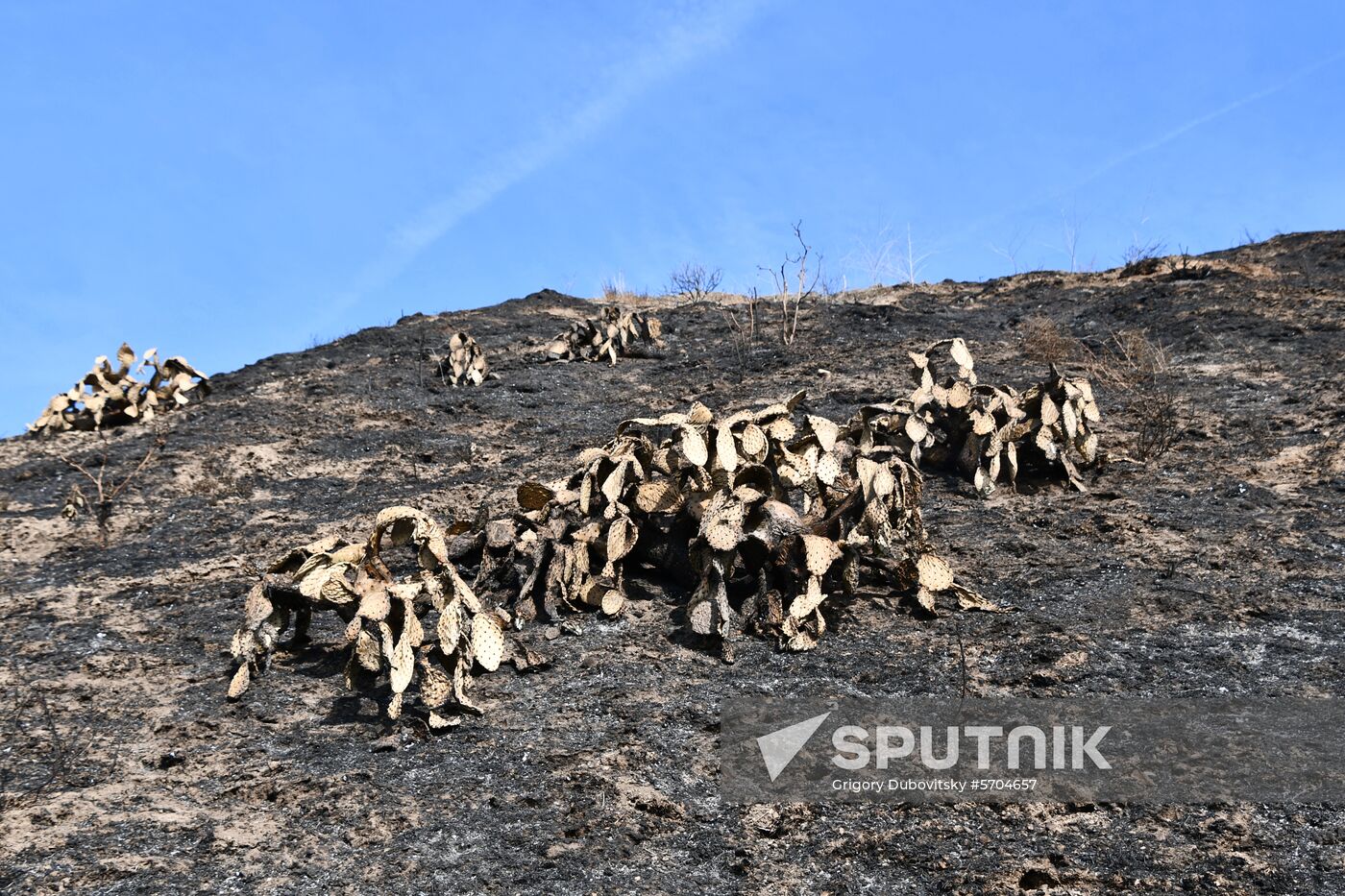 Consequences of wildfires in California