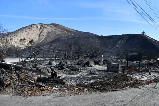 Consequences of wildfires in California