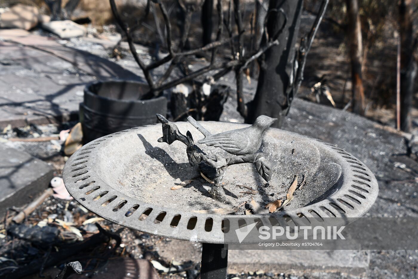 Consequences of wildfires in California