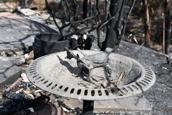 Consequences of wildfires in California