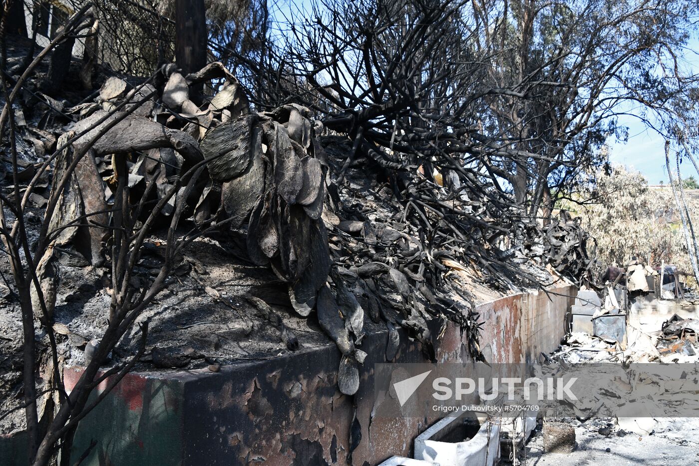 Consequences of wildfires in California