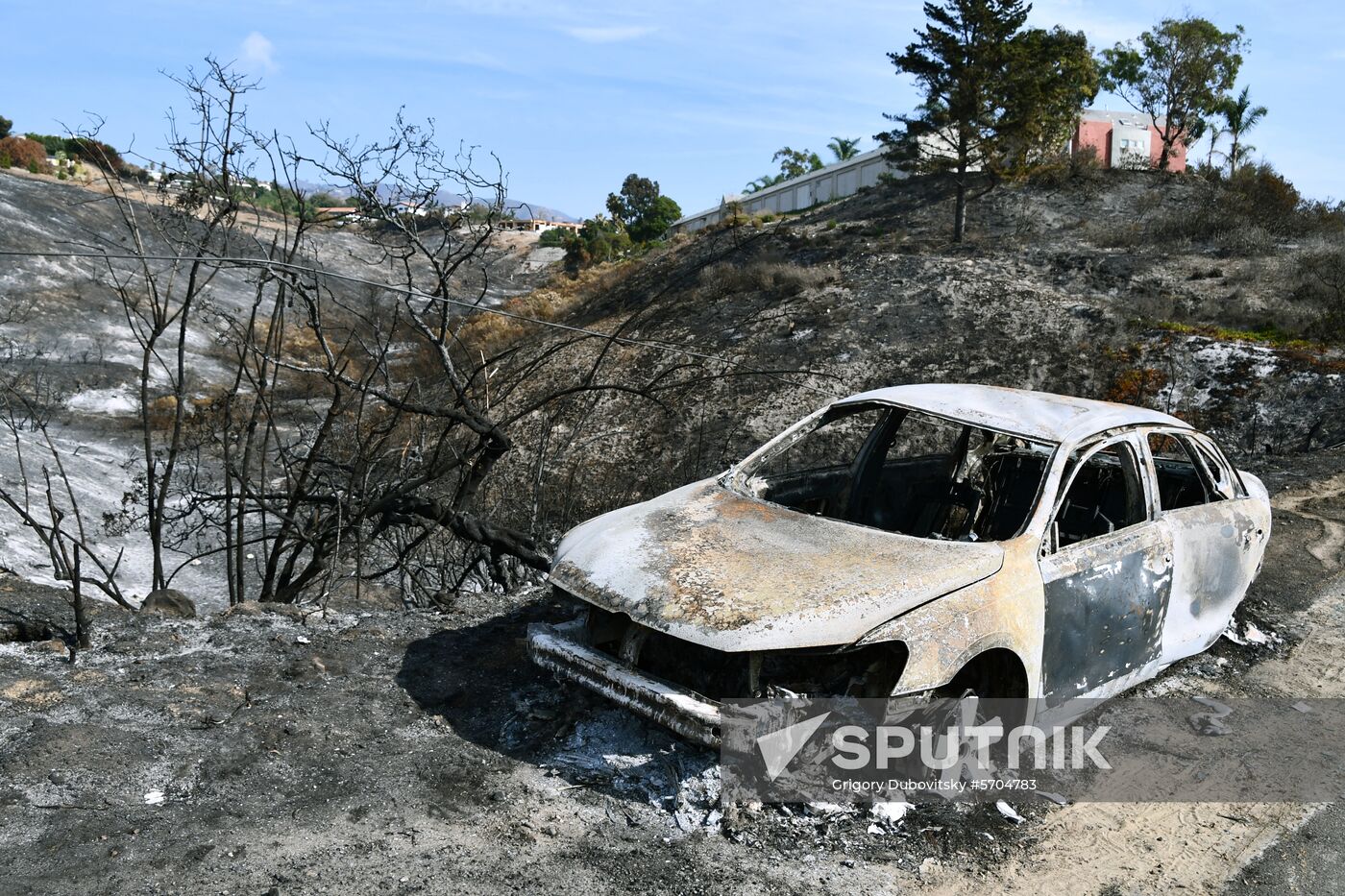 Consequences of wildfires in California