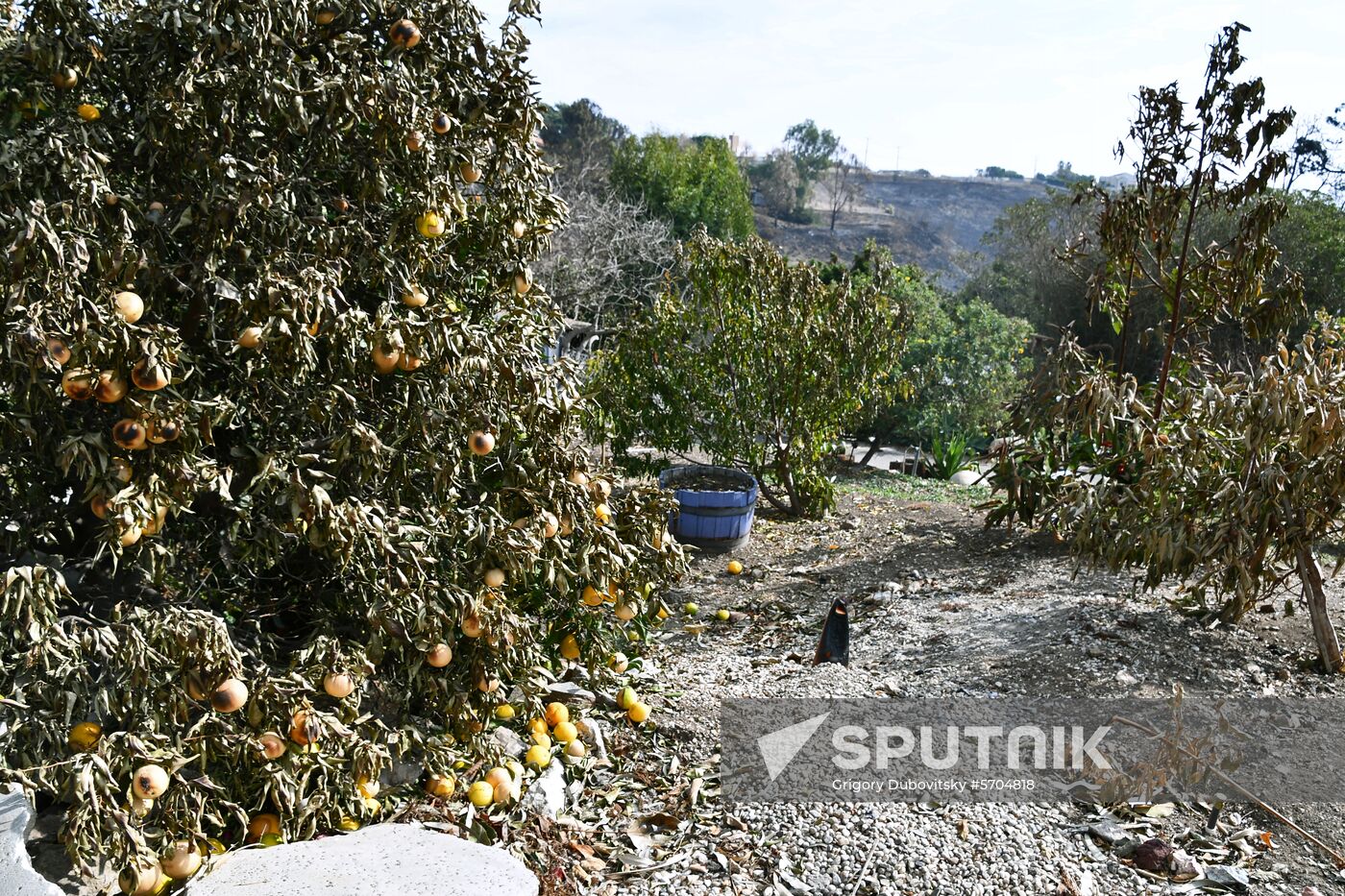 Consequences of wildfires in California