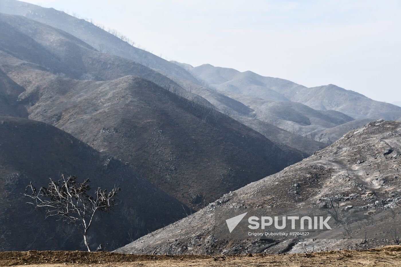 Consequences of wildfires in California