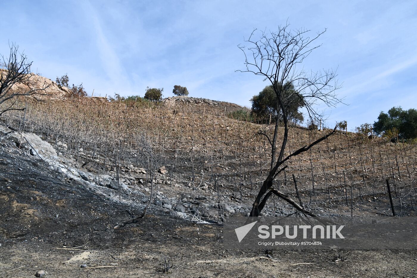 Consequences of wildfires in California