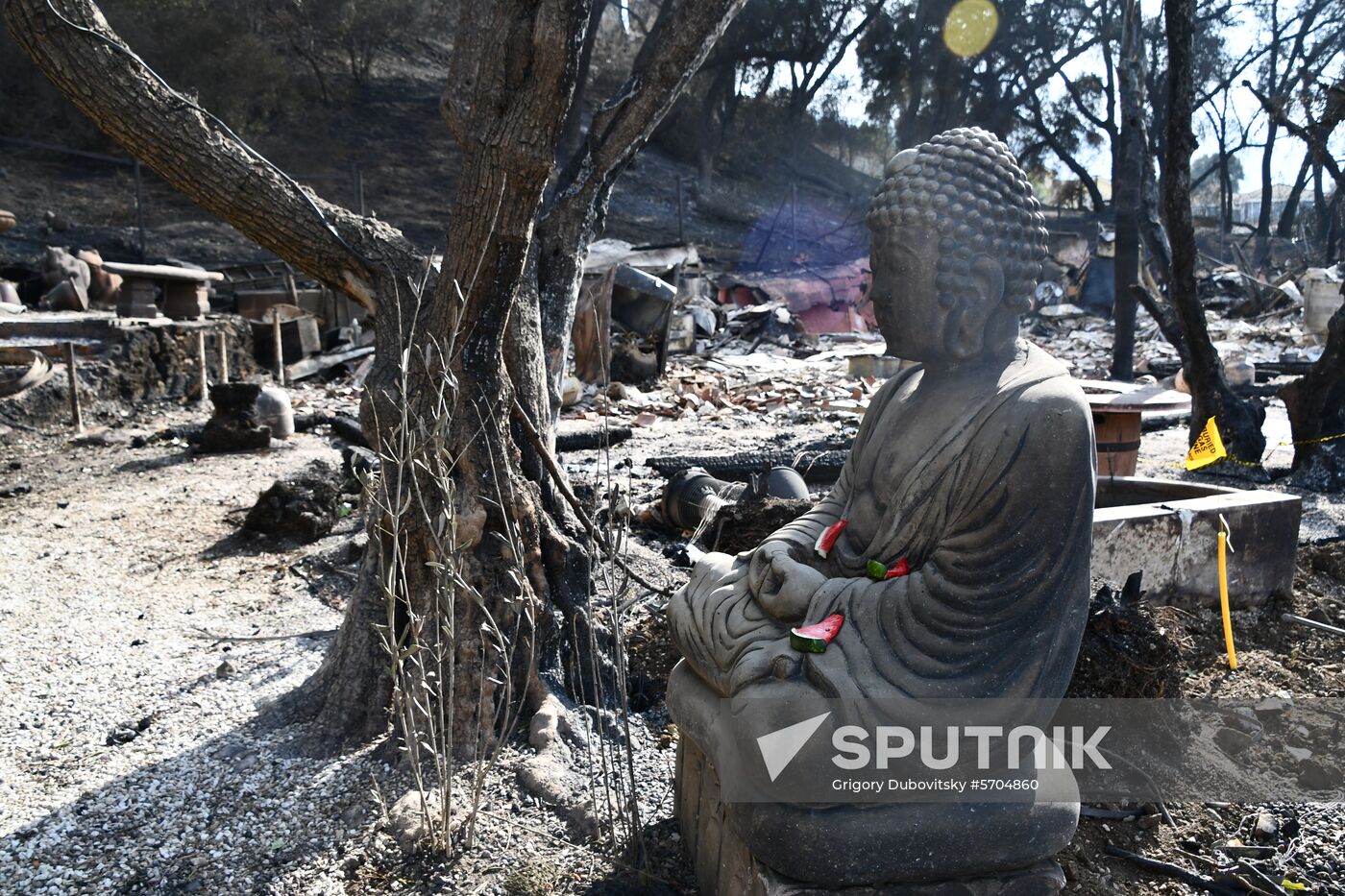 Consequences of wildfires in California