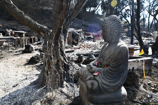 Consequences of wildfires in California