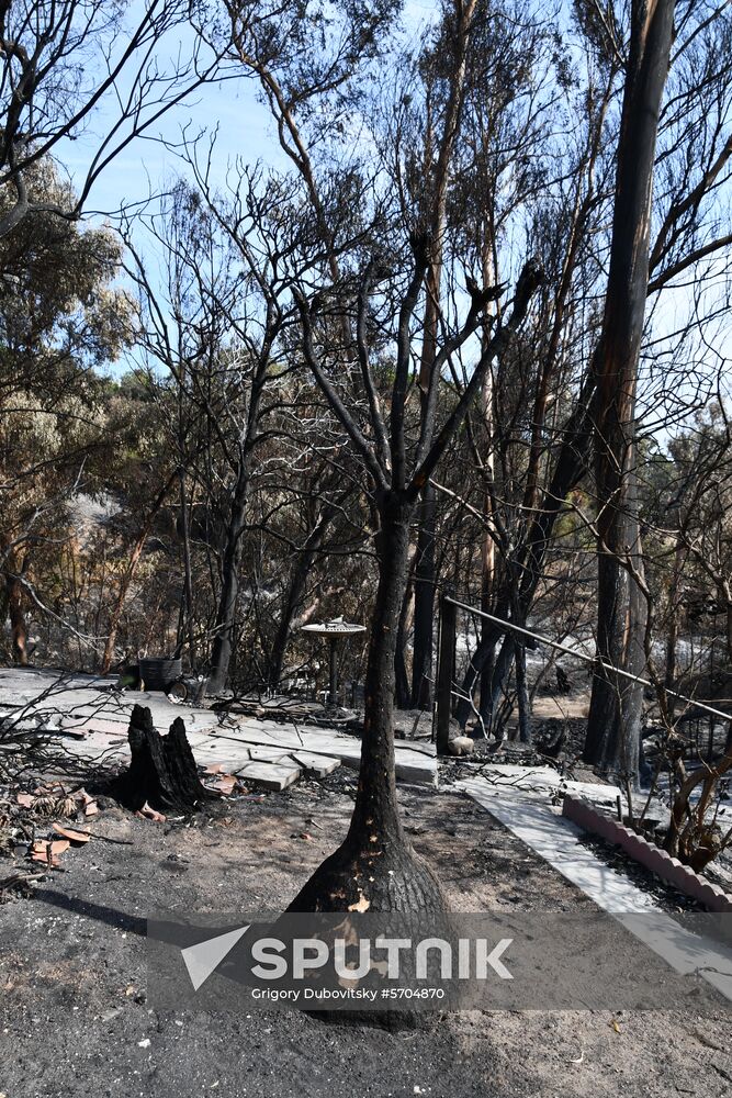 Consequences of wildfires in California