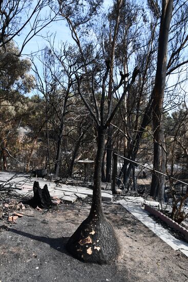Consequences of wildfires in California