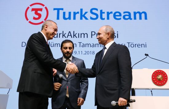 President Vladimir Putin's working visit to Turkey