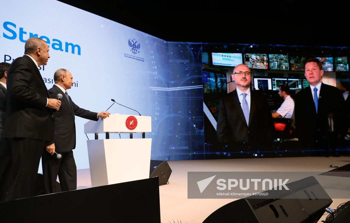 President Vladimir Putin's working visit to Turkey