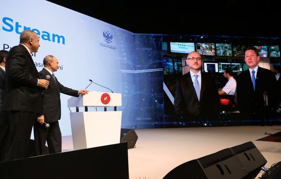 President Vladimir Putin's working visit to Turkey