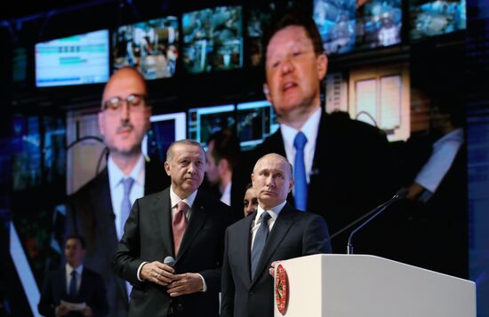 President Vladimir Putin's working visit to Turkey