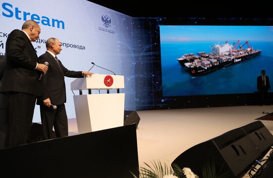 President Vladimir Putin's working visit to Turkey