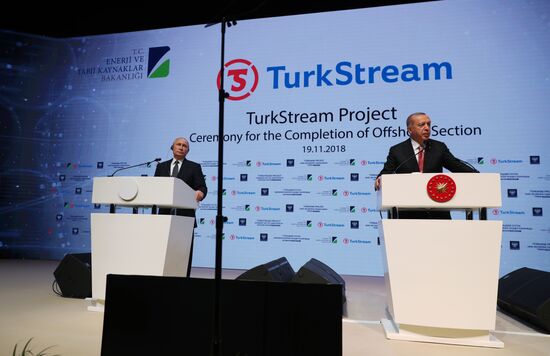 President Vladimir Putin's working visit to Turkey