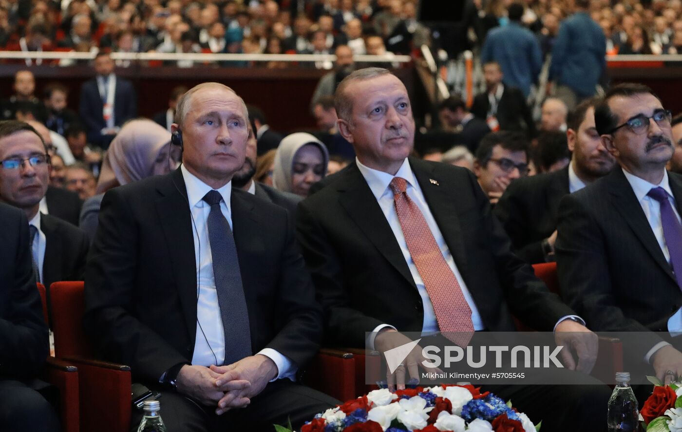 President Vladimir Putin's working visit to Turkey