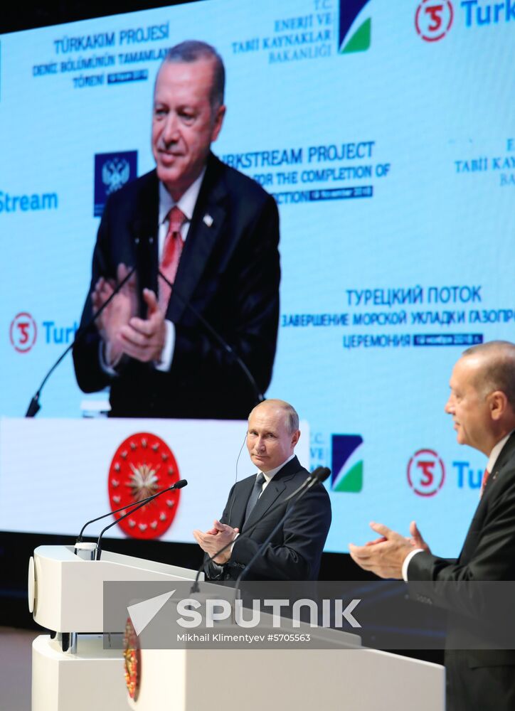 President Vladimir Putin's working visit to Turkey