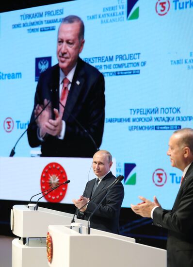 President Vladimir Putin's working visit to Turkey