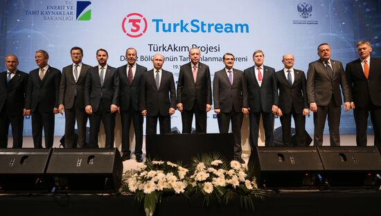 President Vladimir Putin's working visit to Turkey