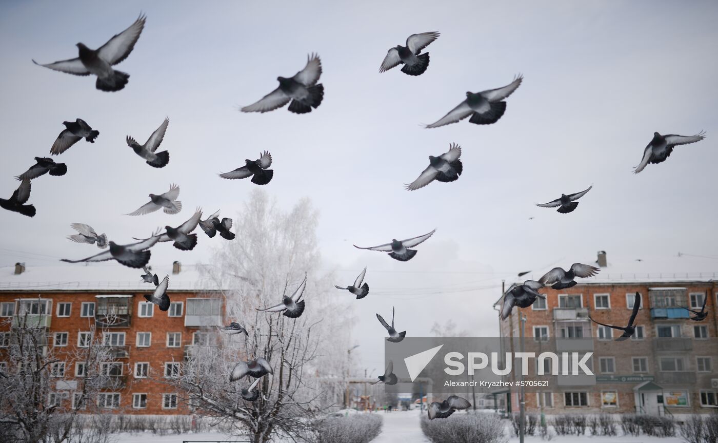 Russia Weather