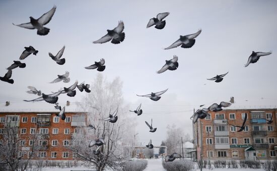 Russia Weather