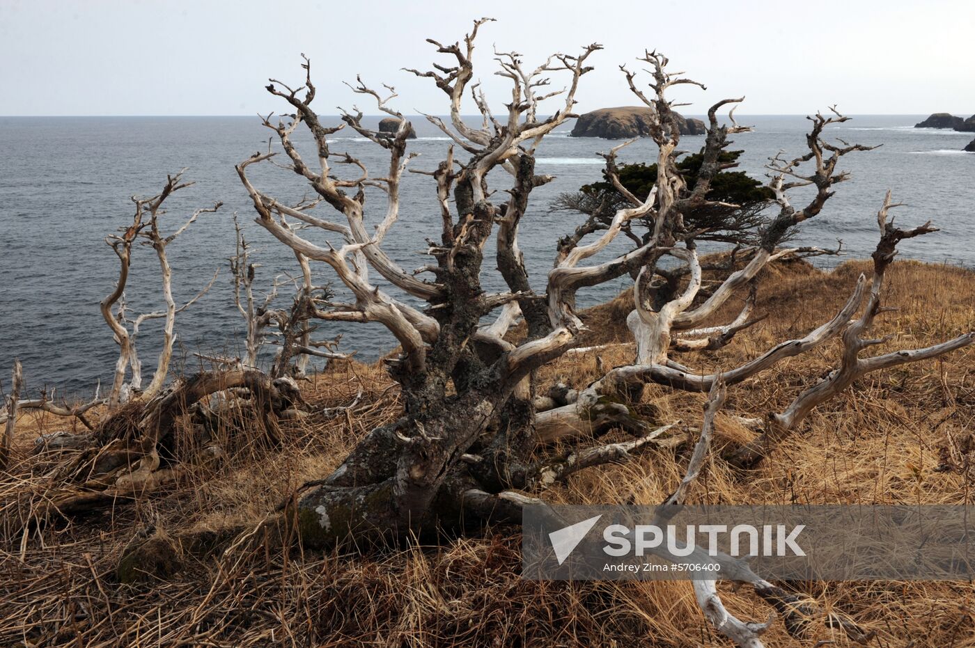 Russia Shikotan Island