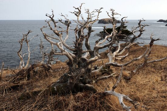 Russia Shikotan Island