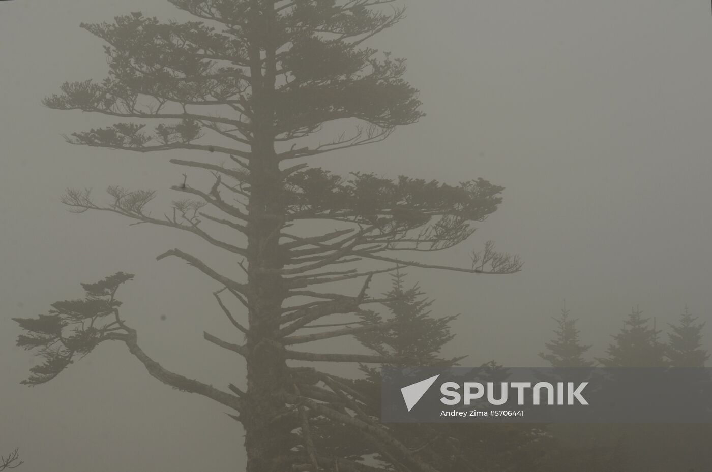 Russia Shikotan Island