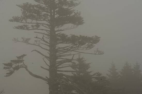 Russia Shikotan Island