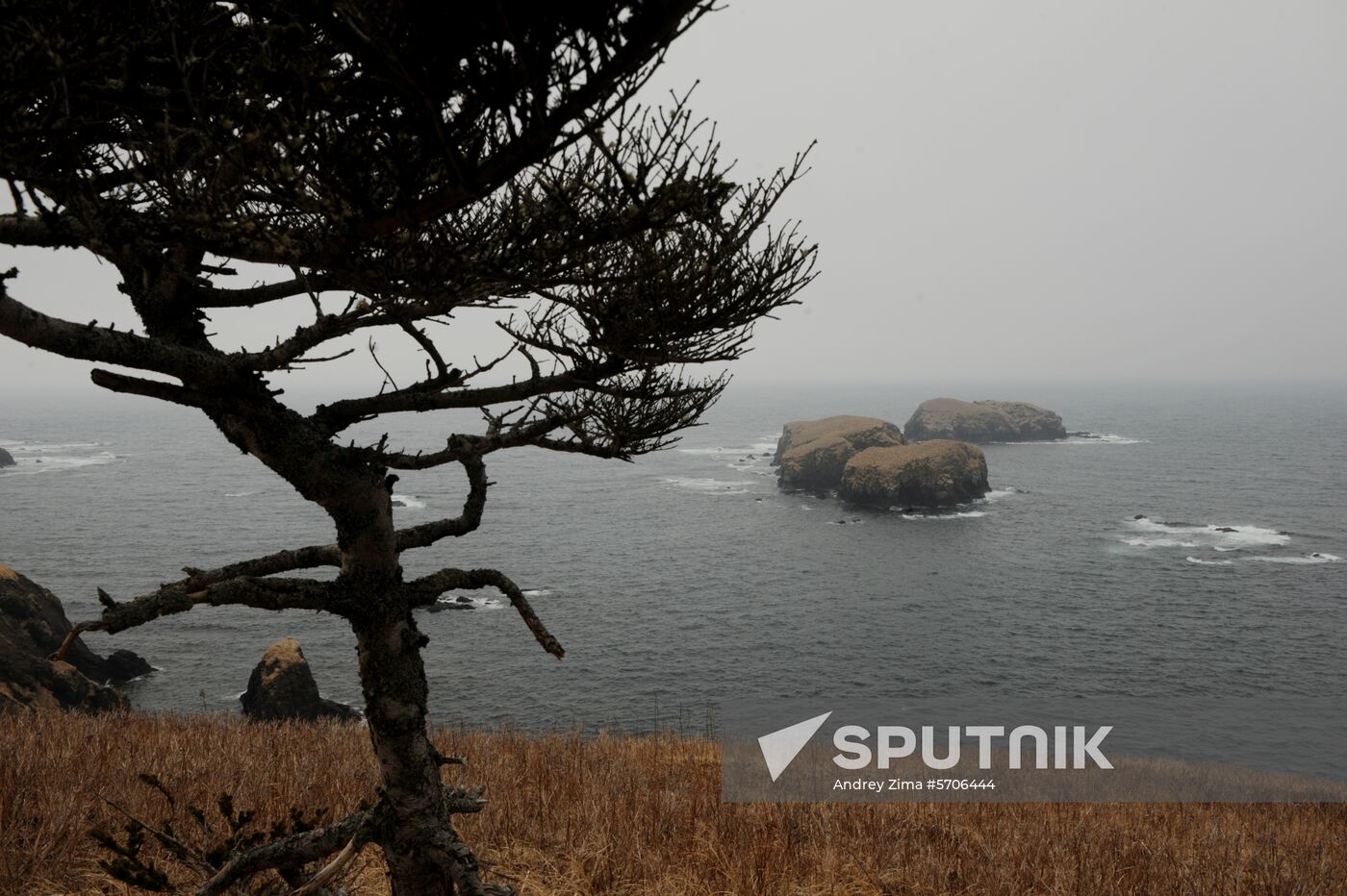 Russia Shikotan Island