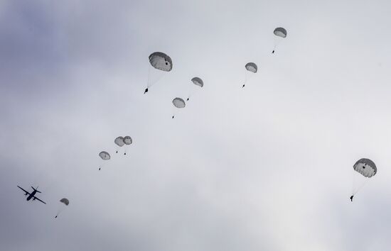 Ukraine Military Drills
