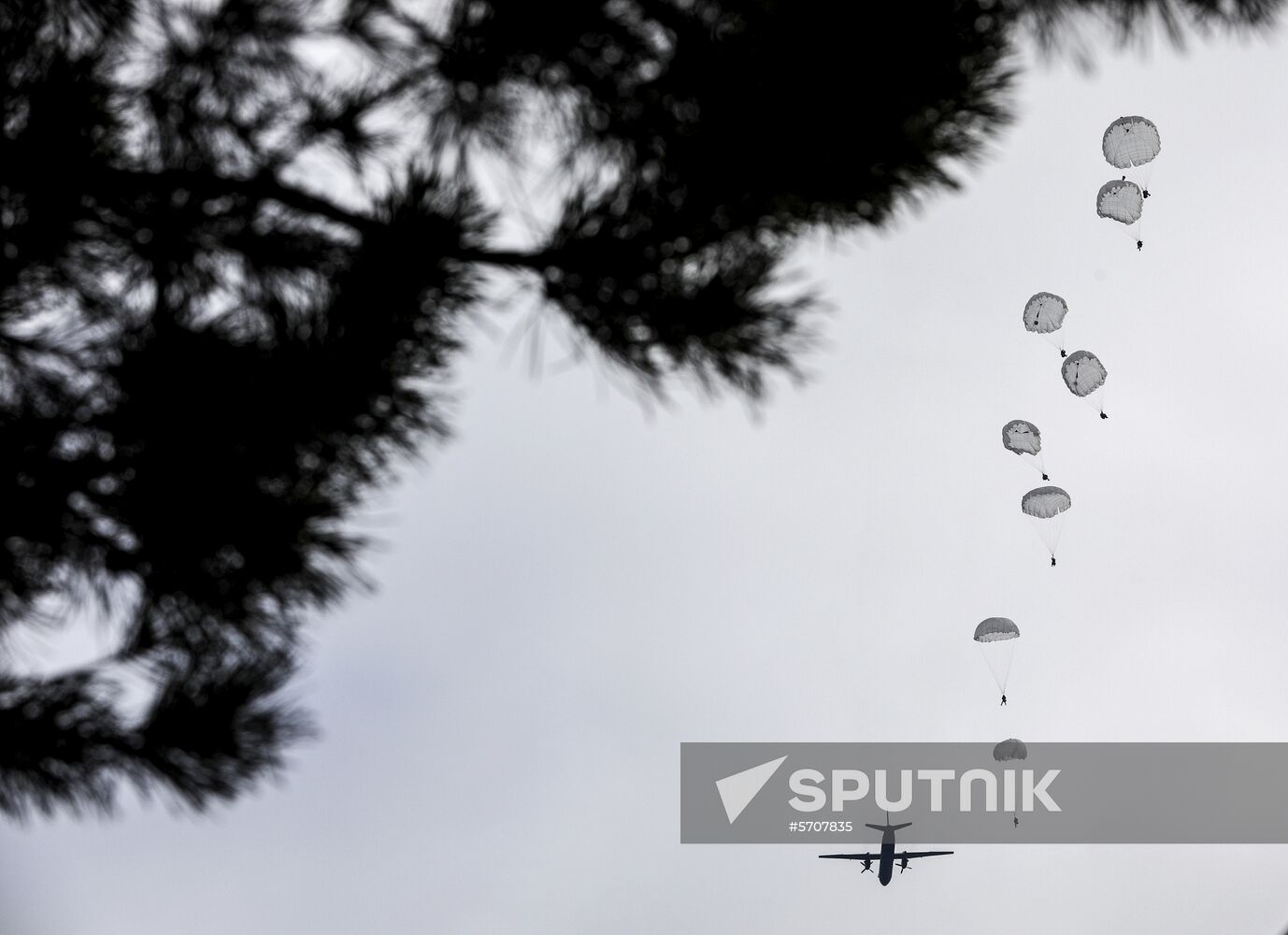 Ukraine Military Drills