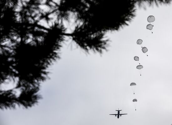 Ukraine Military Drills