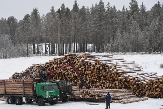 Russia Wood