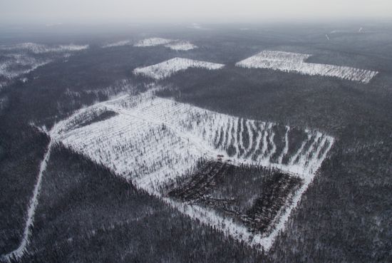 Russia Wood