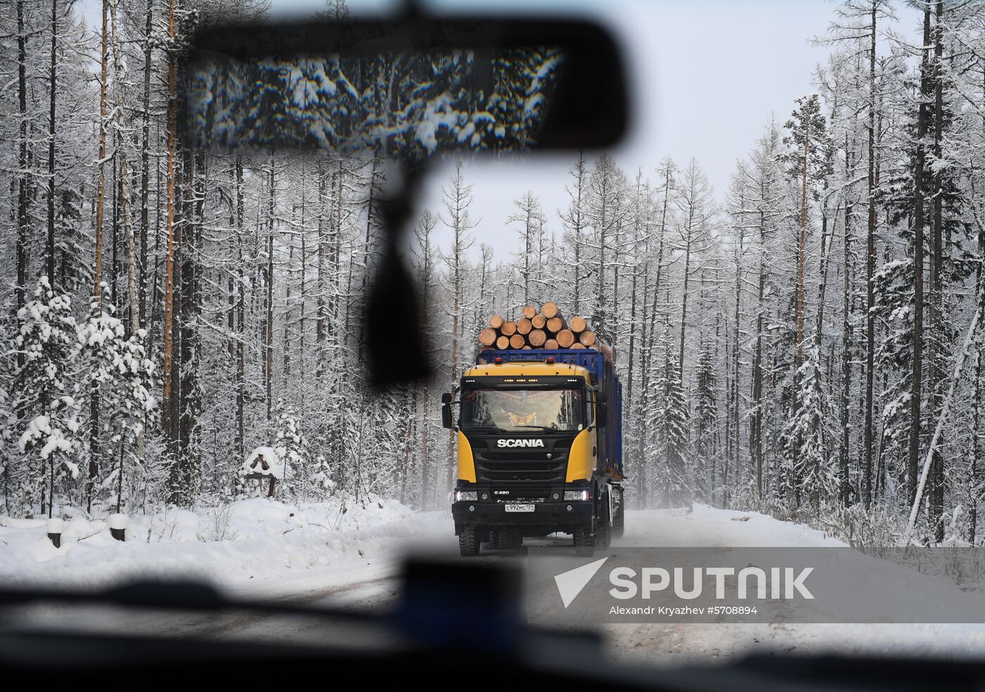 Russia Wood