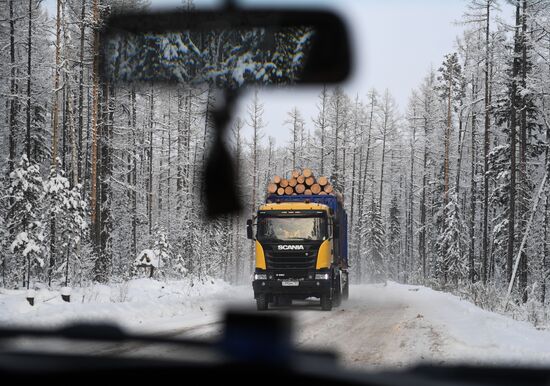 Russia Wood