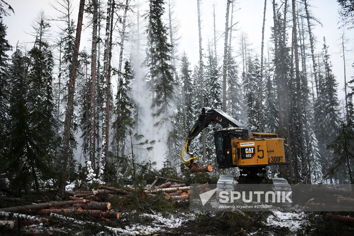 Russia Wood