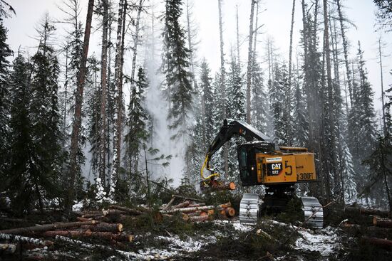 Russia Wood