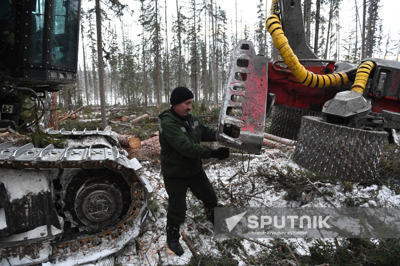 Russia Wood
