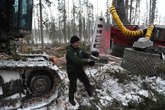Russia Wood
